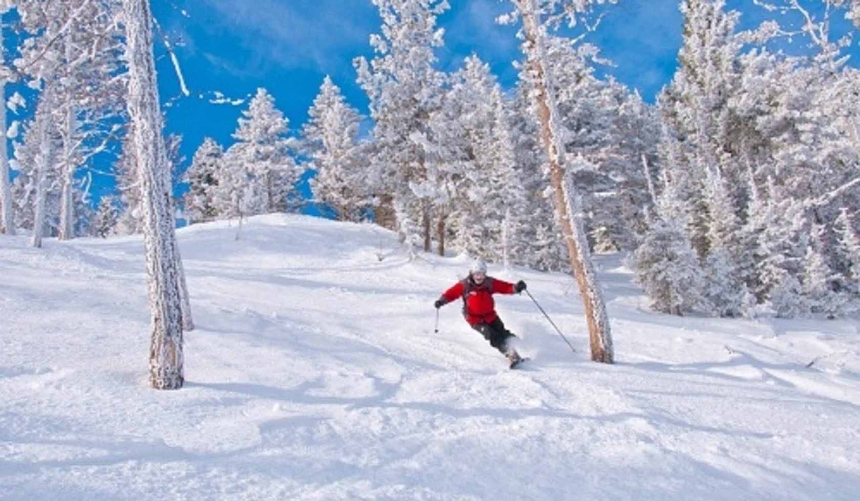 Great Divide in USA - a person skiing down a snow covered hill.