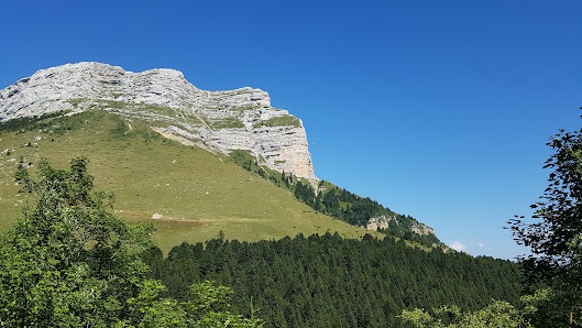 View of a charming chalet nestled up against a serene mountain in Le Planolet - Saint Pierre de Chartreuse, Grenoble, France on a clear sunny day.