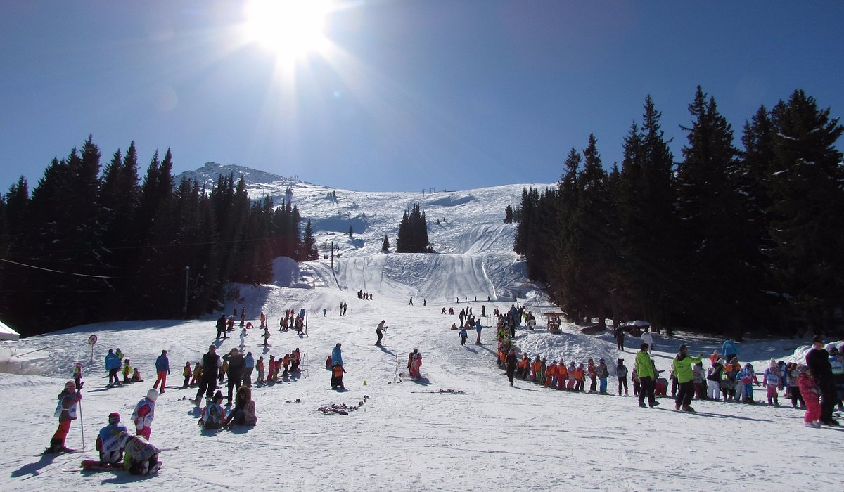 Vitosha | ​Aleko – Sofia in Bulgaria - a group of people skiing down a snowy slope.