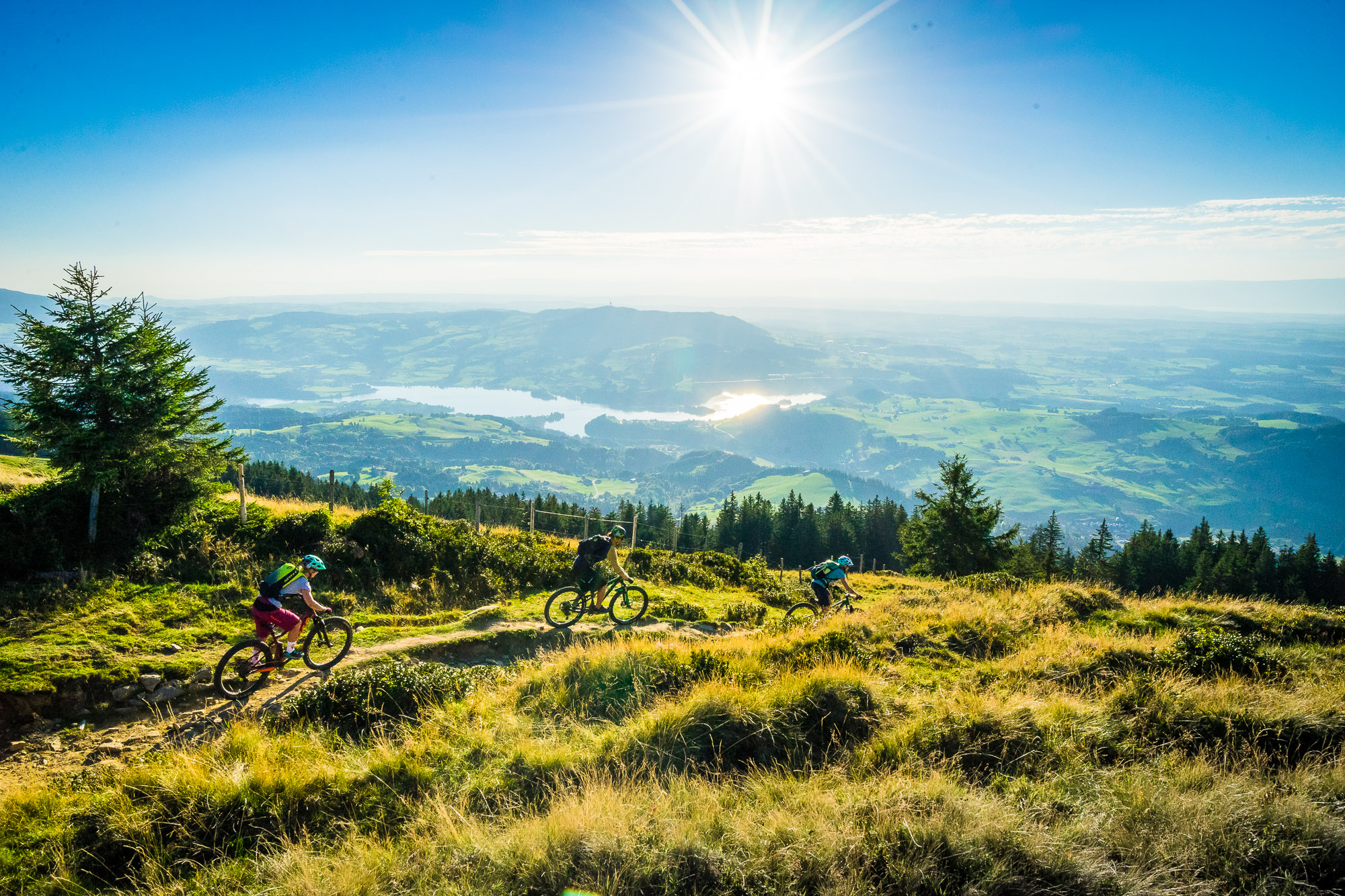 A mountain biker enjoying a sunny day on the scenic trails of picturesque La Berra in Switzerland, with a winter sports scene and a chalet barely visible in the background.