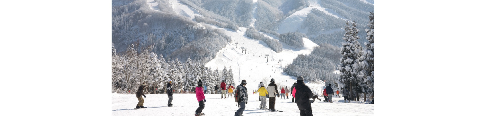 Jam Katsuyama in Japan - a group of people skiing down a snow covered mountain.