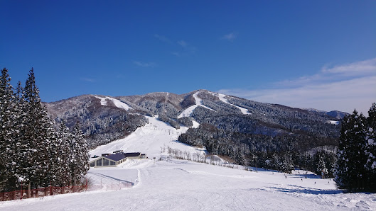 A scenic view at Jam Katsuyama ski resort in Japan showcasing a beautiful winter landscape. Skiers can be seen enjoying the groomed slopes with a chalet nestled amidst the pristine white scenery.