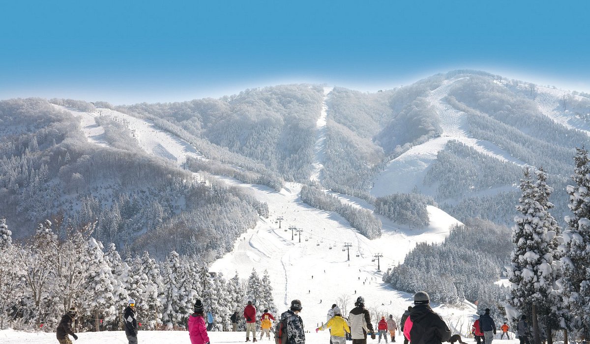 Jam Katsuyama in Japan - a group of people skiing down a snowy slope.