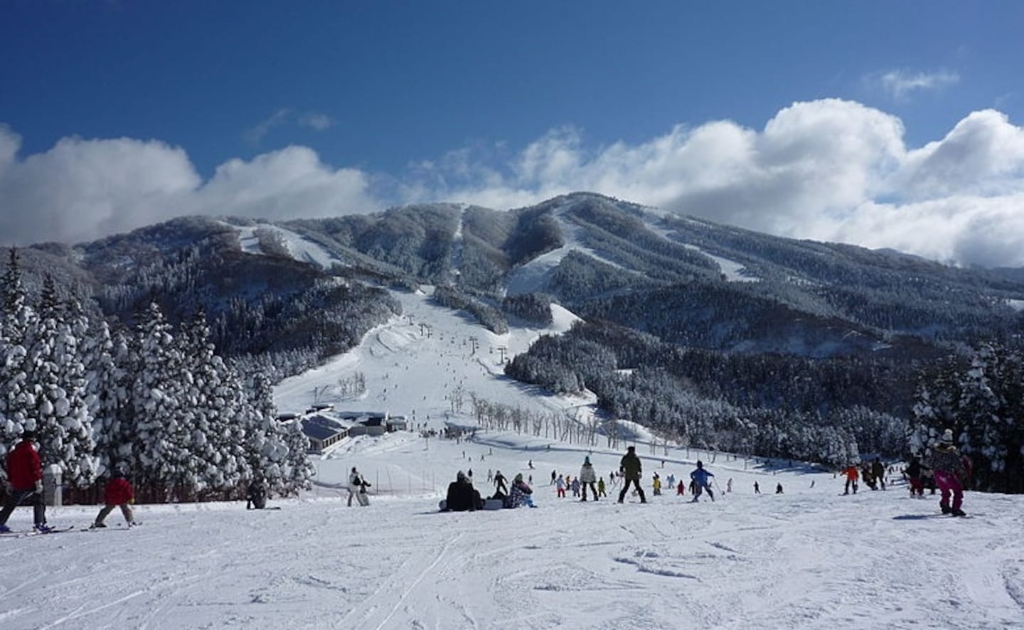 Jam Katsuyama in Japan - a group of people skiing down a snow covered mountain.