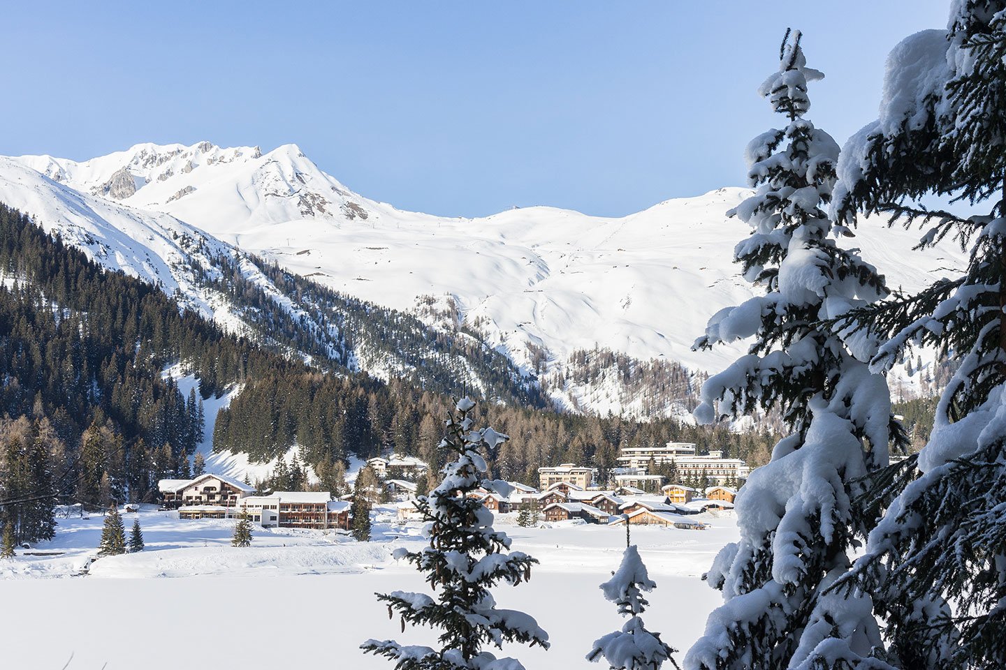 Bergbahnen Tschiertschen in Switzerland - snow covered trees in front of mountains.