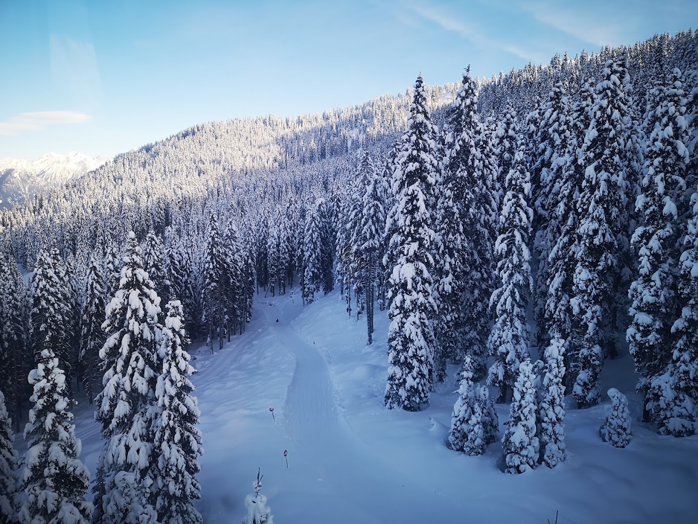 Racines-Giovo in Italy - a snow covered forest with trees in the background.