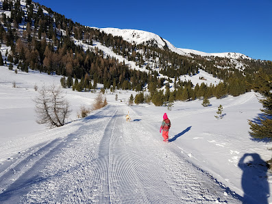 Winter sports scene at Innerkrems ski resort in Upper Carinthia, Austria. A skier glides past a chalet amidst snowfall.