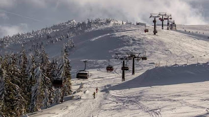 Ski resort at Alpe du Grand Serre in France, featuring a ski lift ascending snow-covered slopes amidst a winter sports scene. A charming chalet is also visible.