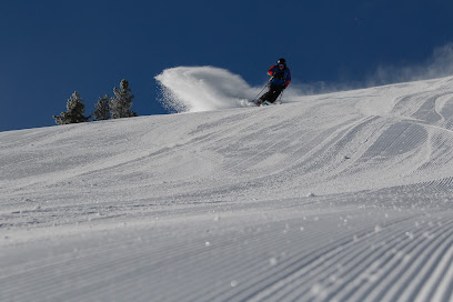 A skier gliding down the slopes at Naeba ski resort in Japan, surrounded by winter sports enthusiasts. There's a hint of a snowboarder and a snowmobile in this exhilarating winter scene.