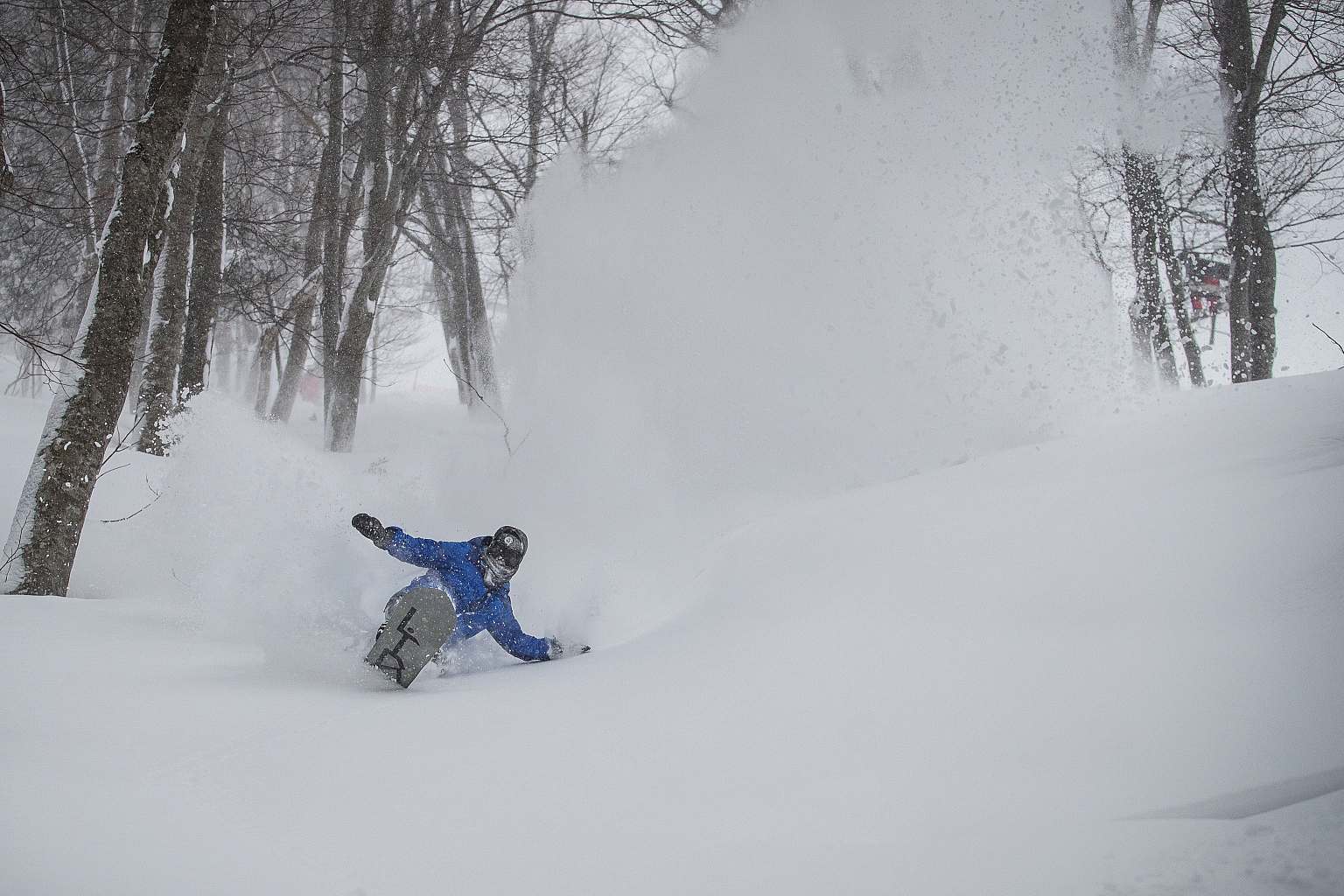 A snowboarder in action at Aomori Spring, Tōhoku, Honshu, Japan. The pristine white snow under bright sunlight creates a perfect backdrop as they breeze down the slope.