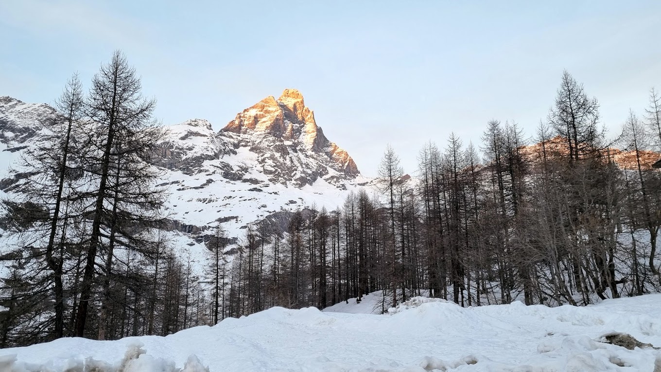 Cervinia Cielo Alto in Italy - a snow covered mountain with trees in the fore.