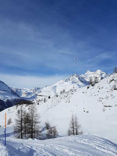 Wolli Park Sunnegga in Switzerland - a person skiing down a snow covered mountain.