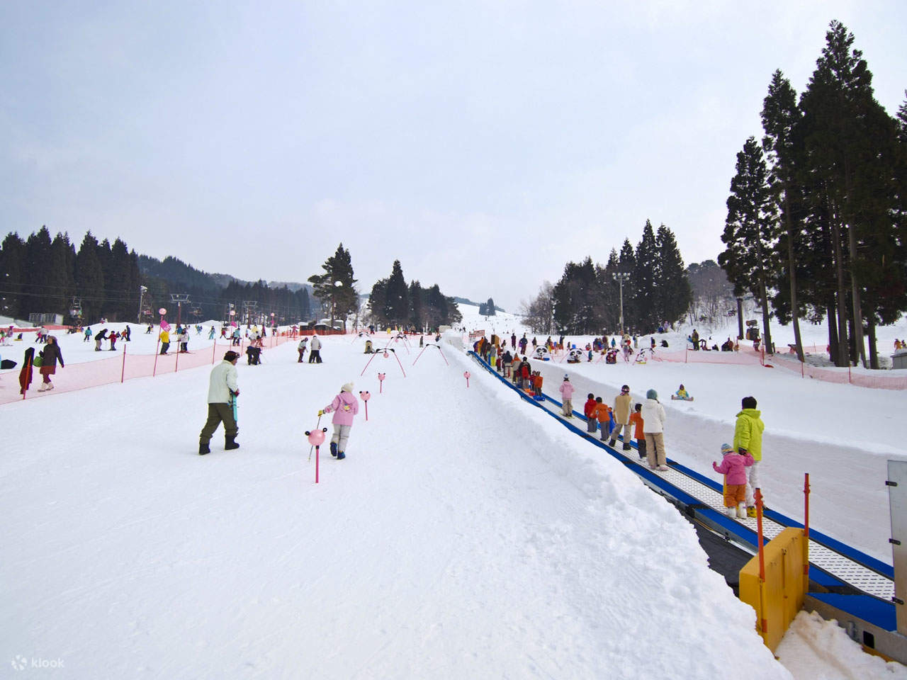 Washigatake Ski in Japan - a group of people skiing down a hill.