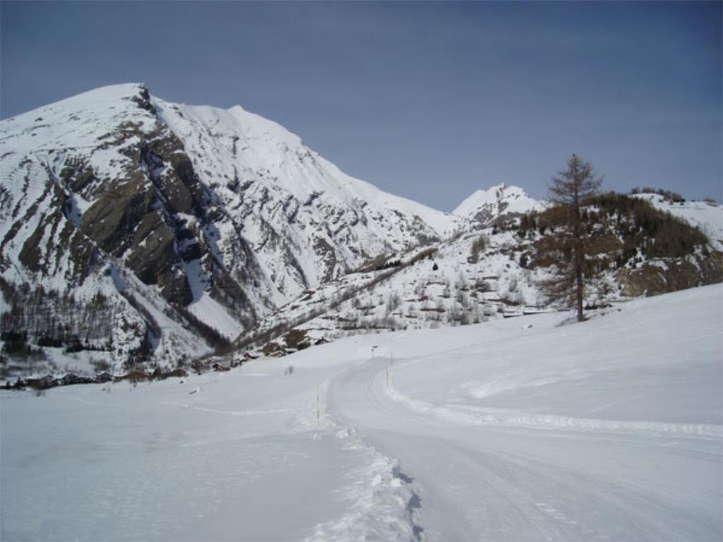 Centro sci di fondo in Italy - tracks in the snow.
