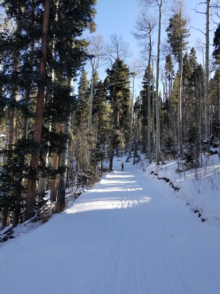 Enchanted Forest Cross Country Ski Area in USA - a snow covered trail in the woods.