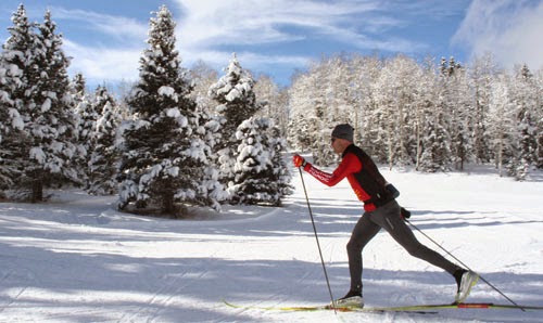Enchanted Forest Cross Country Ski Area in USA - a person on skis going down a hill.