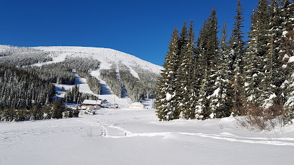 A vivid image of the Super-Besse ski resort in France showcasing a bustling winter sports scene amidst stunning winter scenery. Various individuals are seen engaging in winter sports near a ski lift.