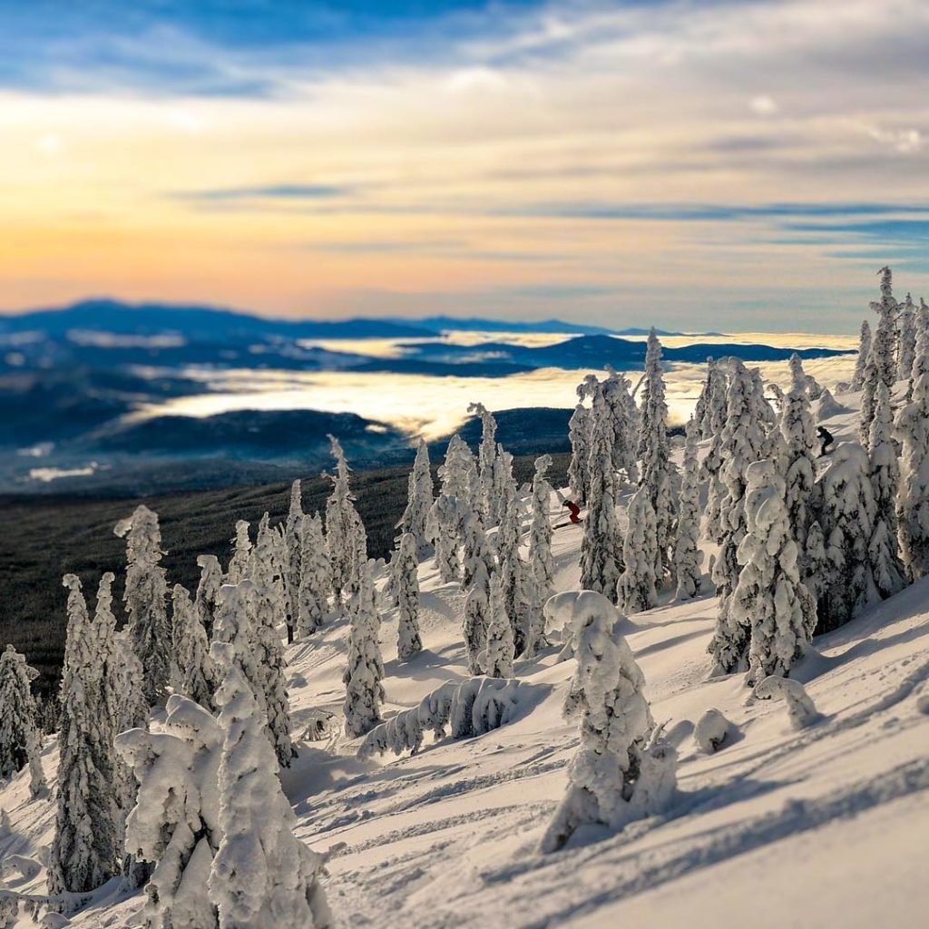 Baldy Mountain Resort in Canada - a person skiing down a mountain covered in snow.