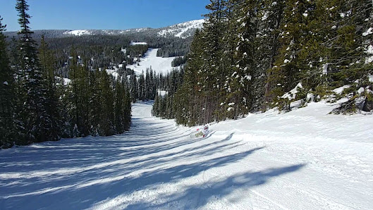 Ski resort scene at Baldy Mountain Resort in Canada. Image features ski lifts ascending snow-covered slopes, active skiers enjoying winter sports activities, and picturesque views of the Kootenay Rockies.