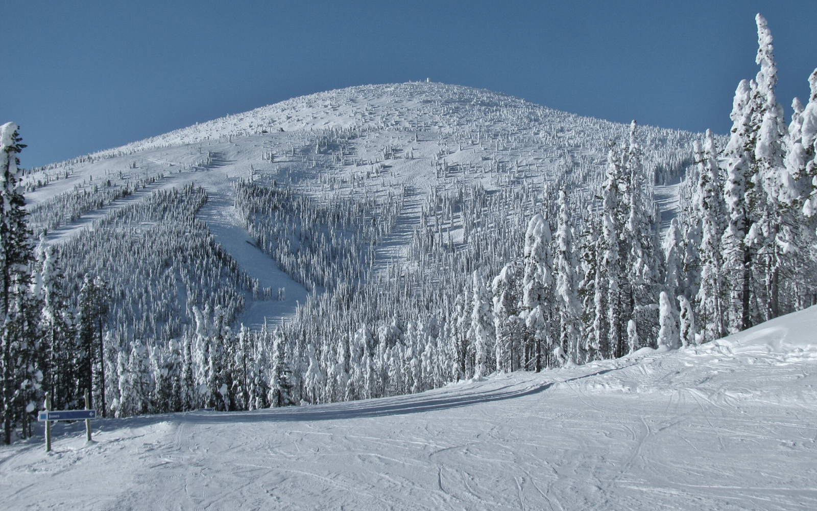 Baldy Mountain Resort in Canada - a person skiing down a snow covered mountain.