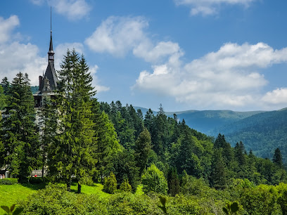 Image of a charming chalet located at the Sinaia ski resort in Romania, surrounded by lush greenery and the scenic beauty of Prahova mountains on a sunny day.