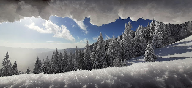 Winter landscape in Sinaia, Romania, with a hint of a winter sports scene at the ski resort set against a backdrop of a snow-dusted mountain.