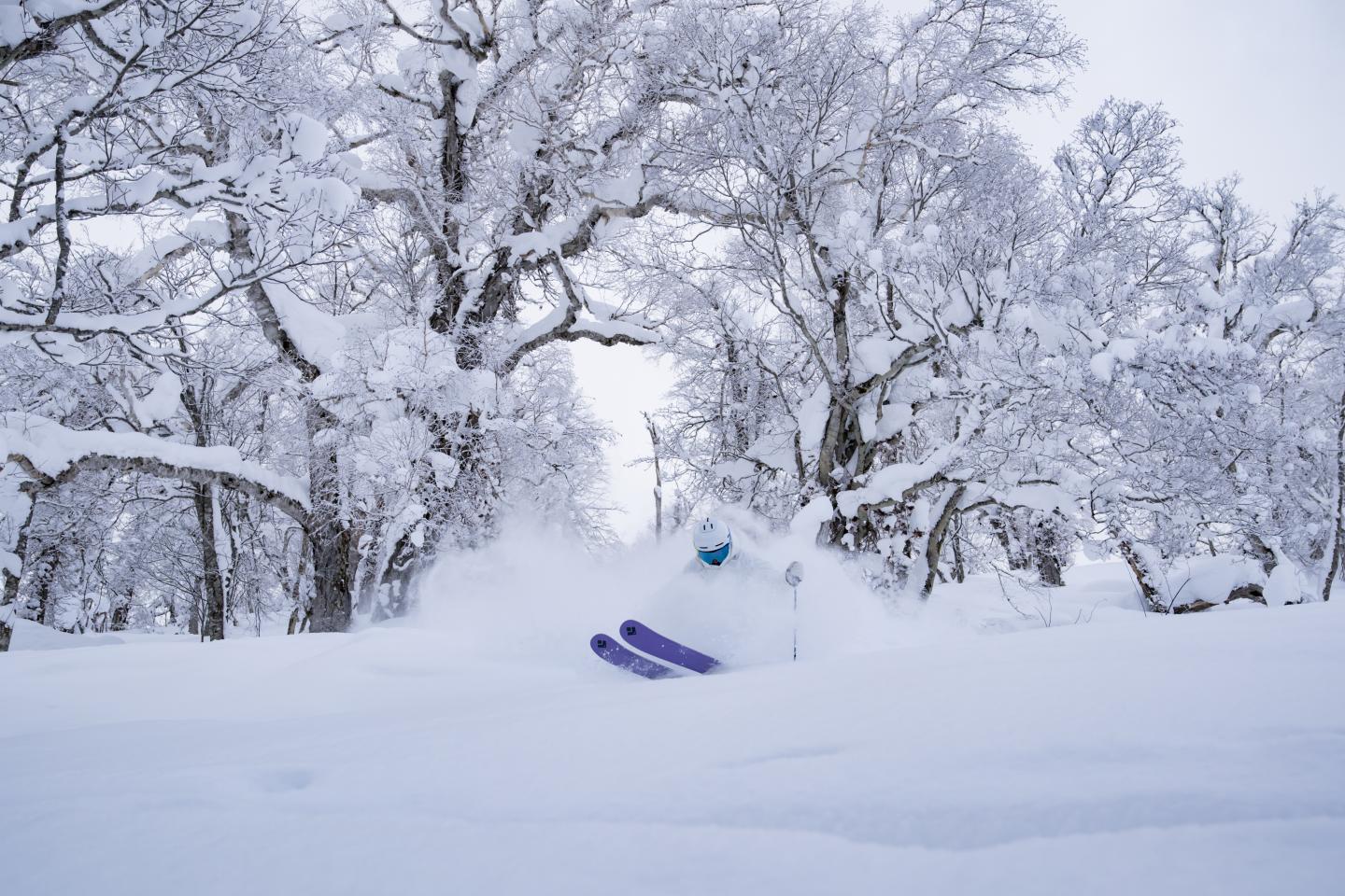 Kamui Ski Links in Japan - snow on the ground.