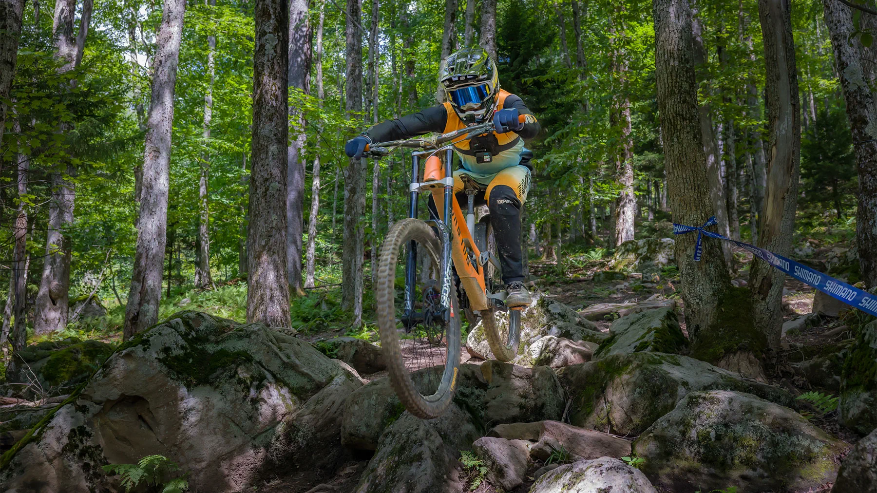 Snowshoe Mountain in USA - a person riding a mountain bike in the woods.