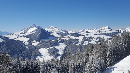 Scenic view of Château-d'Oex in Switzerland, marked by a prominent mountain and a ski resort. A charming chalet peeks out amid the snowy winter landscape, illustrating a lively winter sports scene.