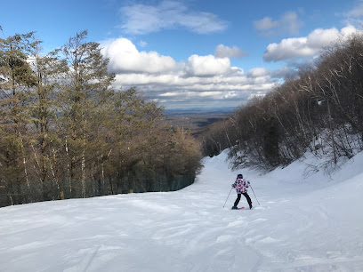 A skier enjoying winter sports at Petit train d'Artouste ski resort, nestled in the mountains of Pyrénées-Atlantiques, France, possibly with their family.