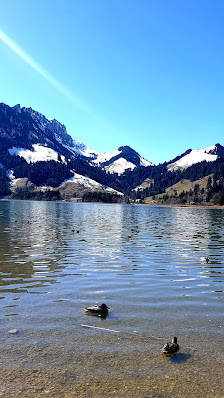View of serene Schwarzsee in Fribourg, Switzerland, surrounded by faint silhouettes of mountains and a small chalet on its bank, all bathing under the gentle warmth of a bright, sunny day.