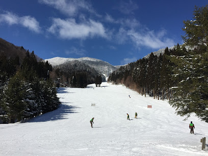 Winter sports scene at Port Ainé, Catalonia: snow-covered mountain slopes dotted with skiers, riding ski lifts, and a chalet nestled among the hills, representing a vibrant ski resort in Lleida, Spain.