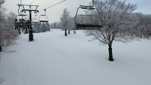 Skiers enjoying the winter sports scene at Mizuho Highland in Japan, with a ski lift traversing the snowy landscape of the ski resort.