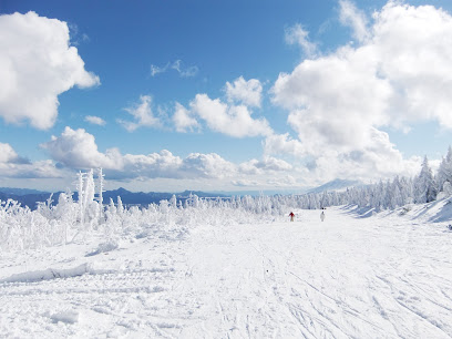 Winter scene at Blue Mountain ski resort in Palmerton, Pennsylvania. Skiers and snowboarders enjoy the snowy slopes against a breathtaking mountainous landscape, with a ski lift in the background.