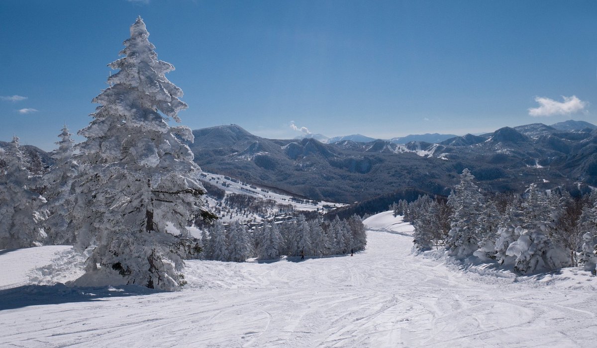 Yakebitaiyama in Japan - a snow covered ski slope with trees in the fore.