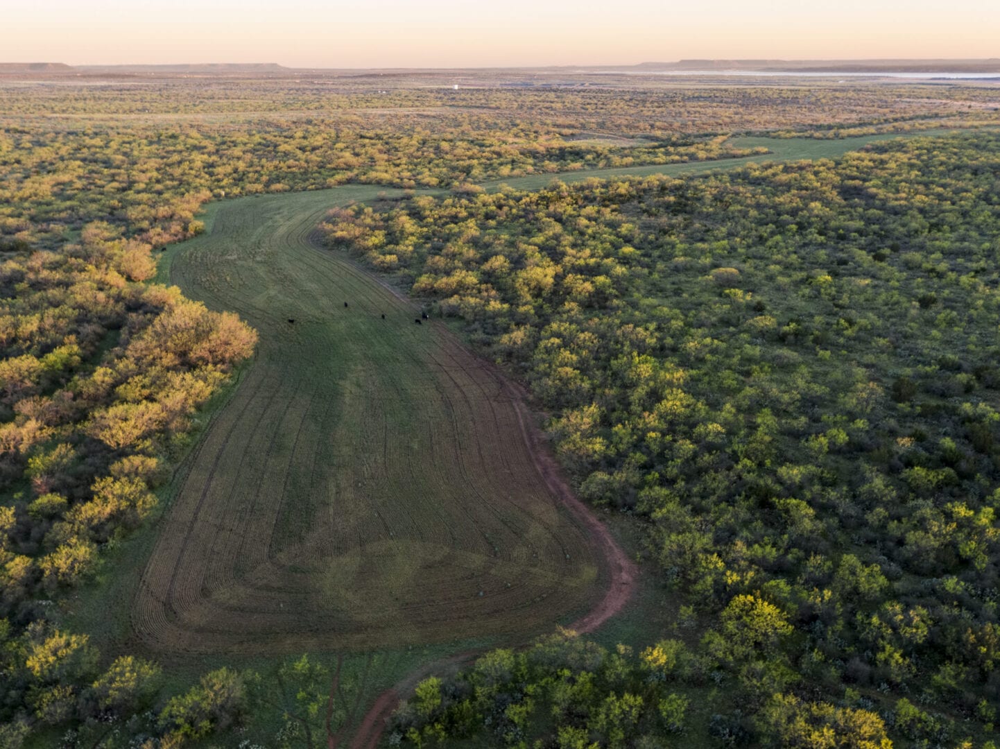 View of a charming challet in the midst of a dense forest on Wildcat Mountain, Gorham, New Hampshire. A serene lake can also be glimpsed in the peaceful scene, along with a distant lodge and the majestic mountain peaks.