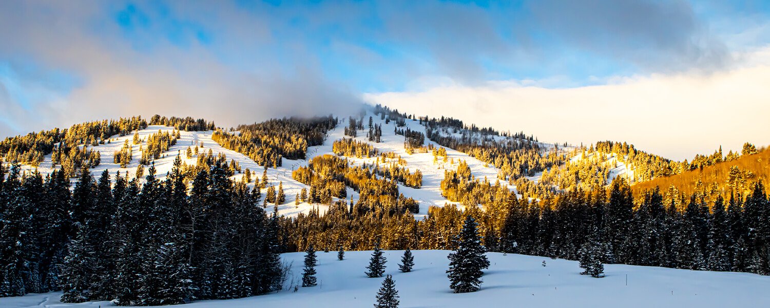 Beaver Mountain in USA - a mountain covered in snow with trees in the fore.