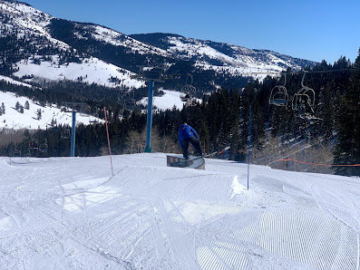 A snowboarder descending the snowy slopes of Beaver Mountain in Garden City, Utah, USA, against a background of pine trees.