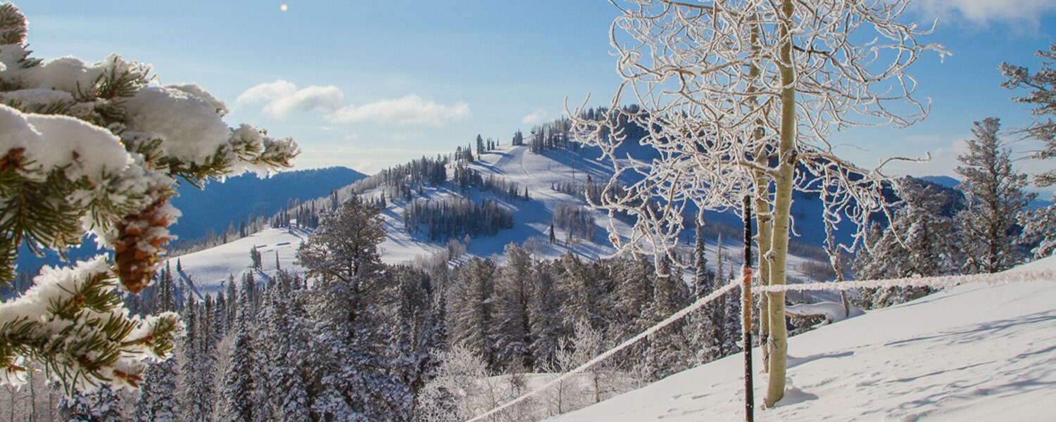 Beaver Mountain in USA - snow covered trees and mountains in the background.
