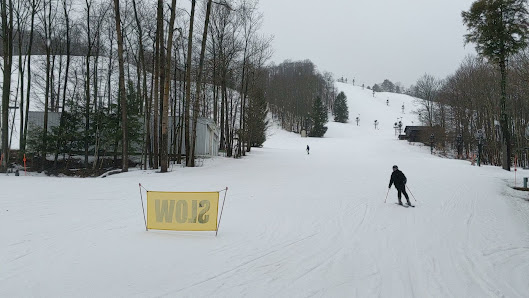 Winter scene at The Highlands at Harbor Springs in Michigan, featuring a skier gliding downhill at the bustling ski resort, with a charming chalet nestled nearby.