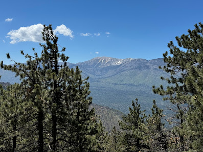 A sunny day at Snow Summit in Big Bear Lake, California. A mountain adorned by a forest of trees is visible and a mountain bike can be seen, indicating the popular sport. A challet implies tourist accommodation.