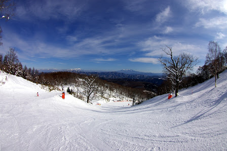 Skier descending a snow-covered slope at a ski resort in Meiho, Chūbu, Japan. Stunning winter scenery wraps the landscape around the winter sports activity.