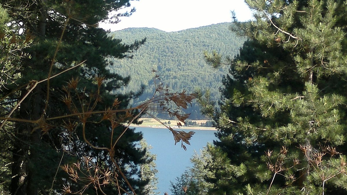 Lorica in Italy - a view of a lake through some trees.