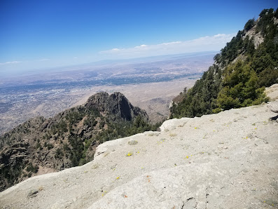 A vibrant scene from Timberline Mountain in Davis West Virginia showcases the mountain's natural beauty under the sun.
