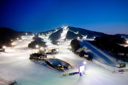 A vibrant ski resort at Welli Hilli Park in South Korea, teeming with winter sports activities. Visible elements include the intricate network of ski lifts and a cozy challet nestled within the snowy landscape.