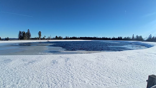 A stunning winter scene at La Mauselaine ski station in Vosges, France. The image captures a snow-covered landscape including a beautiful lake. Winter sports enthusiasts can be seen in the distance.