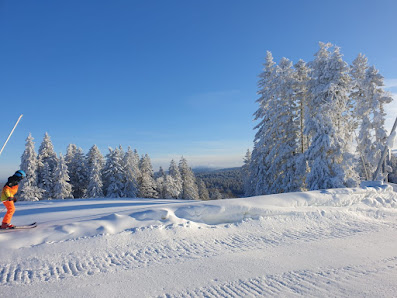 Winter view of La Mauselaine ski resort in Vosges, France, featuring snowy slopes bustling with winter sports activity, against a picturesque alpine backdrop.