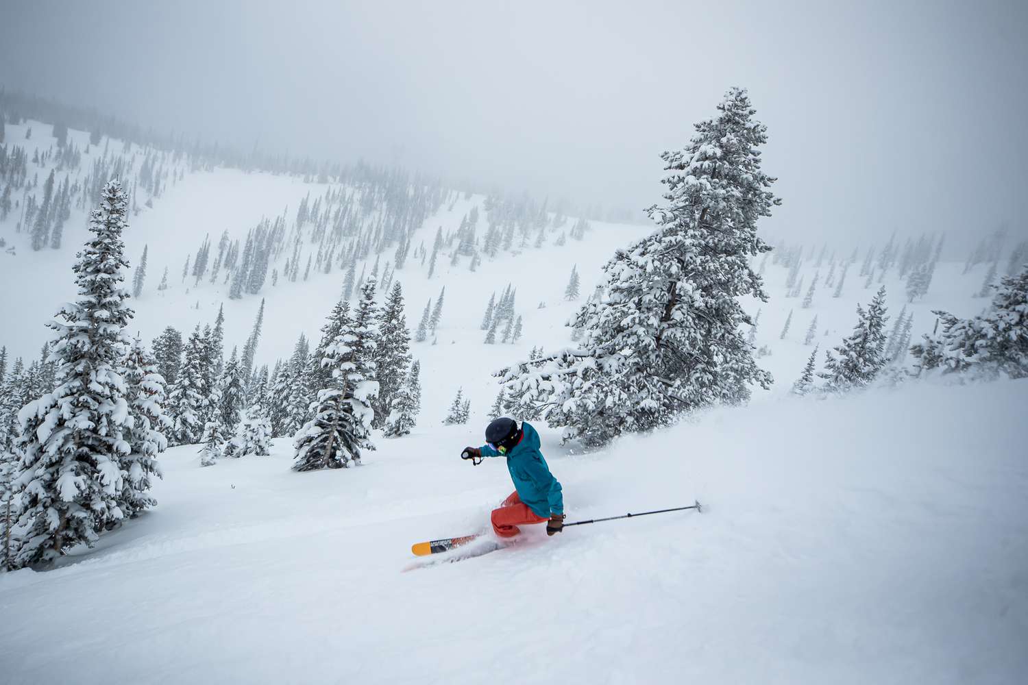 Monarch in USA - a person riding skis down a snowy slope.