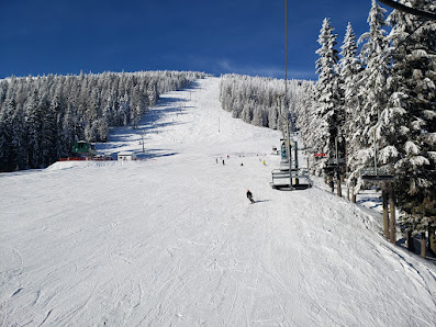 View of Mt. Spokane Ski & Snowboard Park showing a ski resort, ski lift, and a skier enjoying winter sports on the snow-covered slopes.