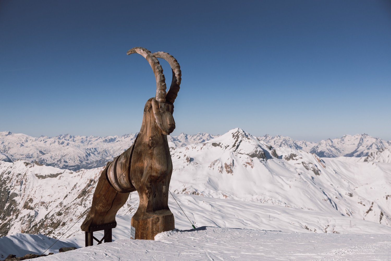 Mijoux - La Faucille in France - an animal standing on top of a snow covered mountain.